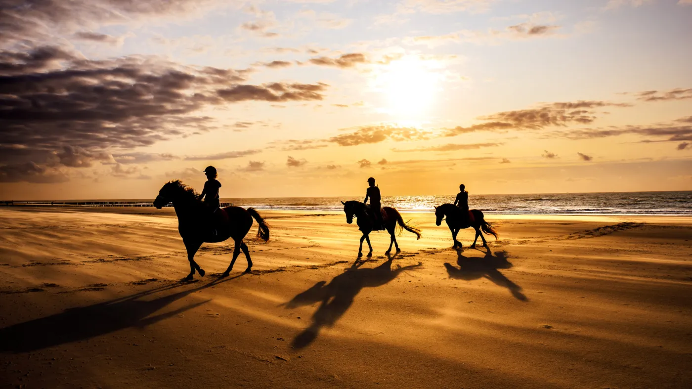 Sunrise Beach Horseback Riding