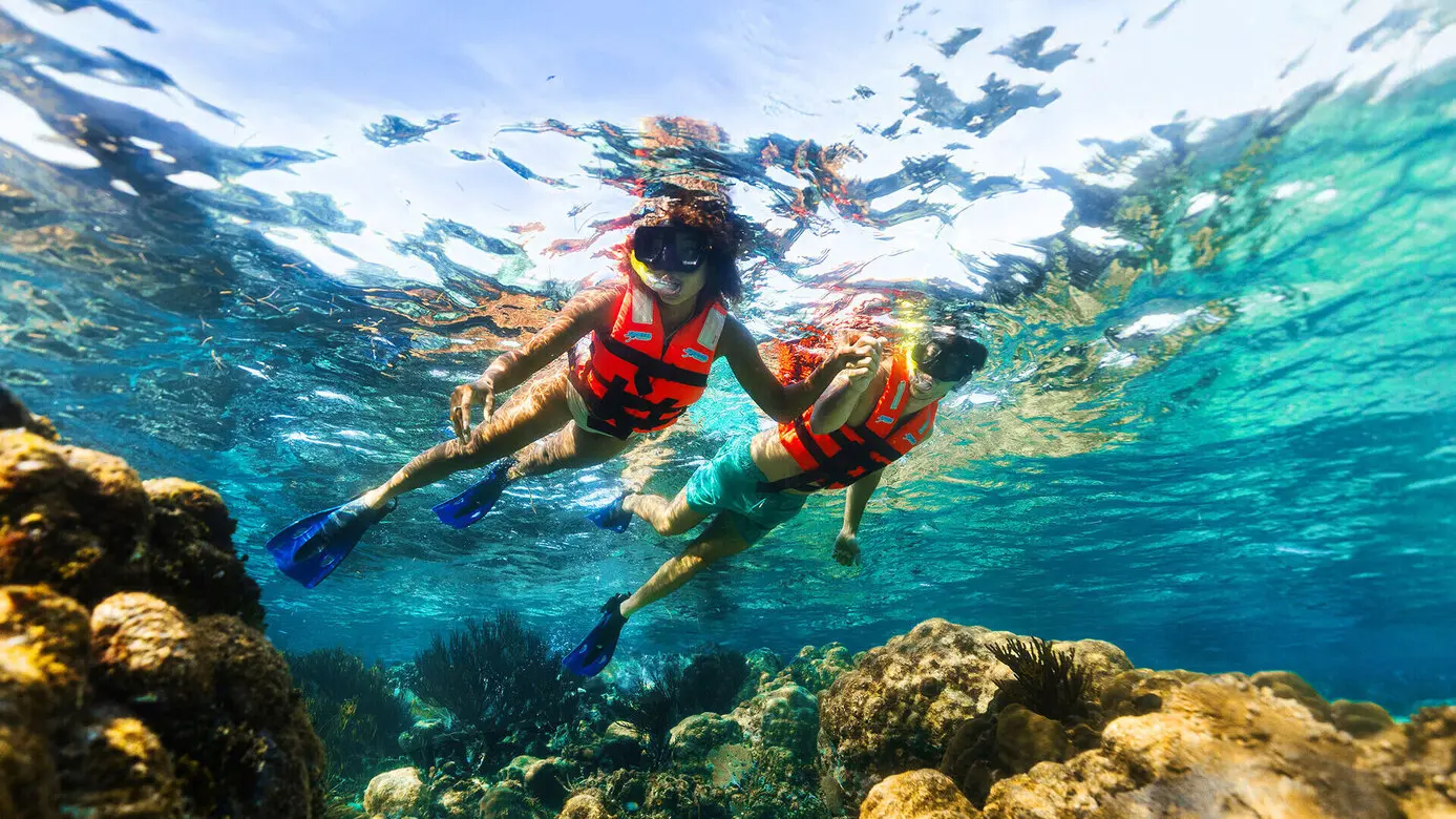 Coral Reef Snorkeling
